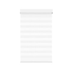 Cordless Zebra Roller Shade - White - 55" x 72"