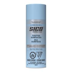 Spray Paint – 340 g – Satin Everlasting Finish