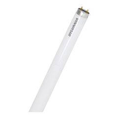 T8 Fluorescent Tube, Daylight, 32W, 48-in, 12/Pkg