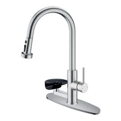 Pull-Out Kitchen Faucet & Glass Rinser - Brushed Nickel