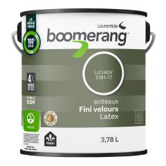 Interior Paint - Velvet Finish - 3.78 L - Lichen