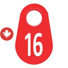 Neck tag #16