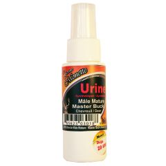 Mature male deer bait