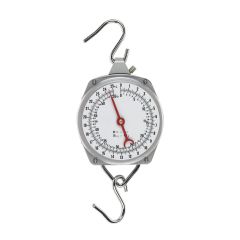 Suspended Scale