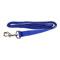 Laisse simple, bleu, 1" x 72"