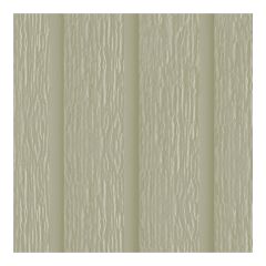 Ultraplank siding - 12" x 12'