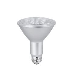 LED Lightbulb - PAR30 -  Daylight - 11 W