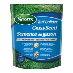 Semence à gazon tout usage