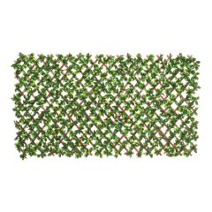 Extendable Gardenia Trellis