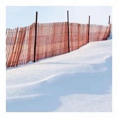 Clôture à neige en bois résineux