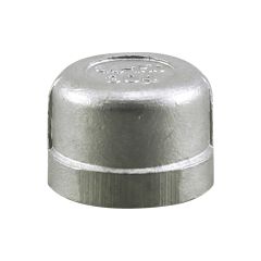 Stainless Steel Cap - 1"