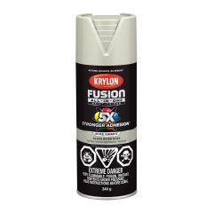 Fusion Spray Paint And Primer All-In-One - 340 g - River Rock - Glossy