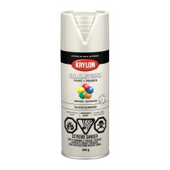 Colormaxx Paint And Primer - 340 g - Almond - Glossy