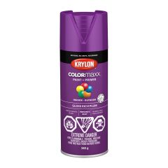 Colormaxx Paint And Primer - 340 g - Rich Plum - Glossy