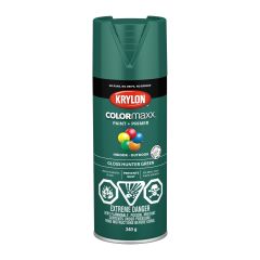 Colormaxx Paint And Primer - 340 g - Hunter Green - Glossy