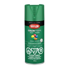 Colormaxx Paint And Primer - 340 g - Emerald Green - Glossy
