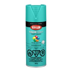 Colormaxx Paint And Primer - 340 g - Sea Glass - Satin