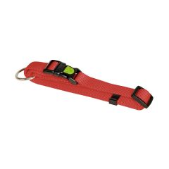 Collier pour chien en nylon