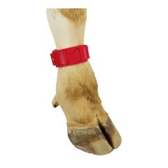PlastIB marking bracelets for cows - Red