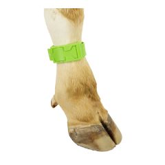 PlastIB marking bracelets for cows - Green
