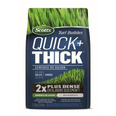 Semence de gazon Scotts Turf Builder Quick+Thick