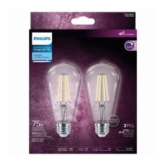LED Light Bulb - ST19 - 8.8 W - Daylight - 2/Pkg