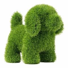 Natural Grass Topiary dog - 13"