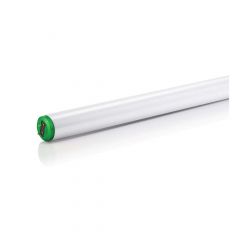 Fluorescent Tube- T12 - 2/Pack