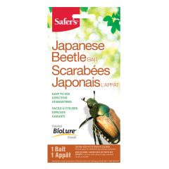 Appât pour scarabées japonais