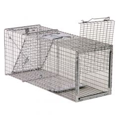 Cage à 1 porte pour raton laveur