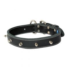Double collar with spike