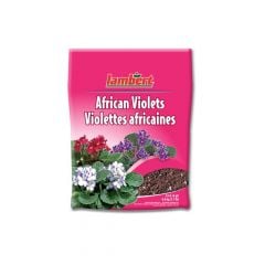 African violets mix