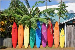 Surf board canvas