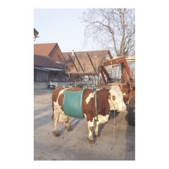 Cow lift max 900 kg