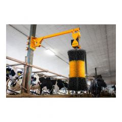 Automated cow brush
