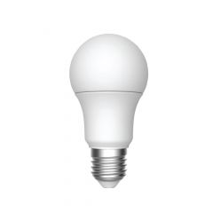 Ampoules DEL, A19, 9 W, blanc doux, 2/pqt