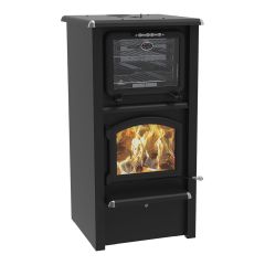 Gemini Wood Stove