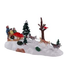 Dog Sledding Afternoon