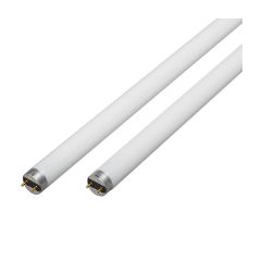 Tube fluorescent, T8, lumière du jour, 32 W, 48", 2/pqt