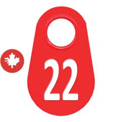 Étiquette d'identification pour le cou #22