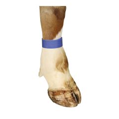 Bracelet autoagrippant pour bovin