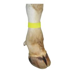 Bracelet autoagrippant pour bovin, jaune, 10/pqt