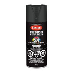 Fusion Spray Paint And Primer All-In-One - 340 g - Black - Matte