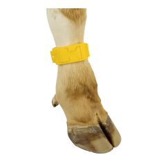 Bracelets de marquage en plastique pour vache, jaune