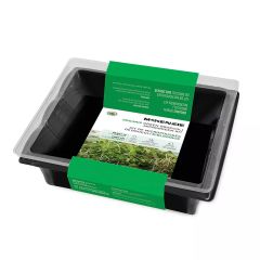 Microgreens Kit - Brocoli