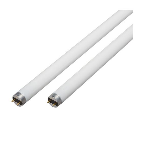 Tube fluorescent, T8, lumière du jour, 32 W, 48", 2/pqt