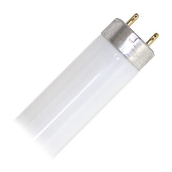 Tube fluorescent, T8, blanc froid, 15 W, 18"