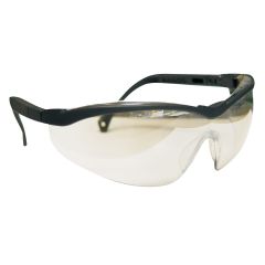 RENEGADE safety glasses