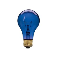 Party Bulb - Incandescent - A19 - 60 W - Blue