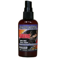 Urine d'orignal mâle